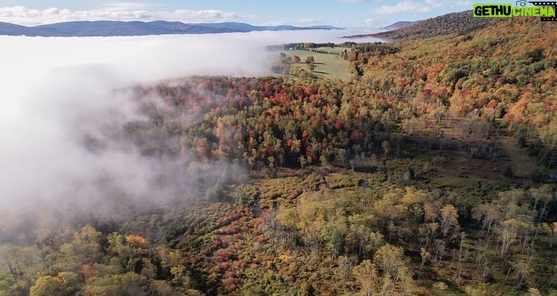 Jennifer Garner Instagram - I love the calm beauty of a West Virginia autumn. 🍂🍁🍃 . 📸: @harrisboofs
