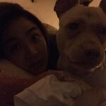Jennifer Hong Instagram – ：

濕濕冷冷的夜晚
最適合跟馬尼抱在一起取暖啦～晚安🤗
.
.
.
#lingling #毛孩子是家人 #抱抱 #晚安 #night 
#領養代替購買 
#結紮代替撲殺