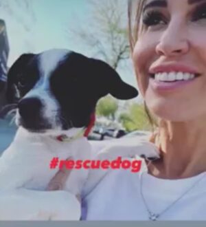 Jennifer Walcott Instagram - We rescued Jasmine one year ago yesterday. Happy adoption day.