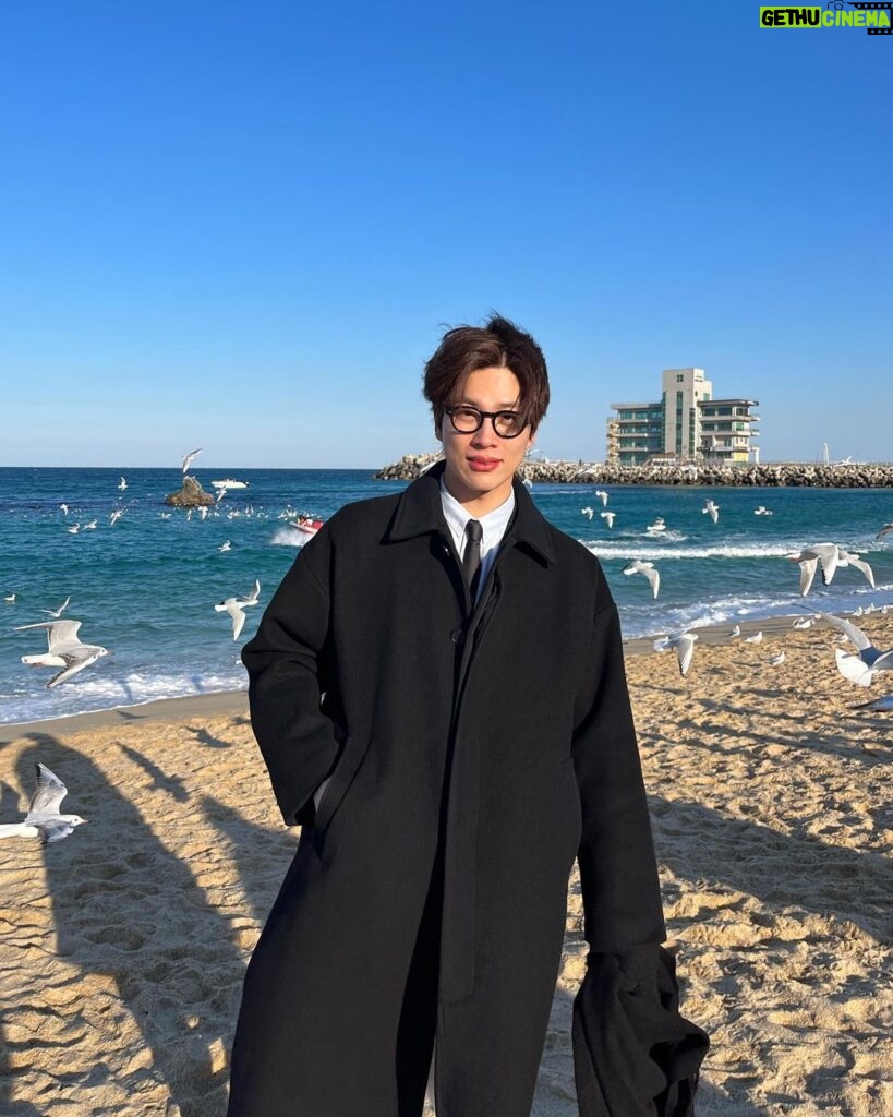 Jeong Young-han Instagram - 새박사 갈매기정 강릉 안목해변