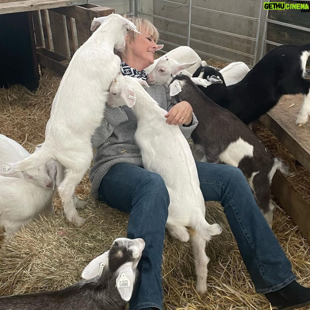 Jeremy Clarkson Instagram - @janepmoore wanted to meet our new goats.