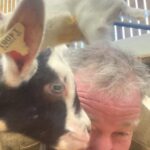 Jeremy Clarkson Instagram – Very much enjoying my new goats