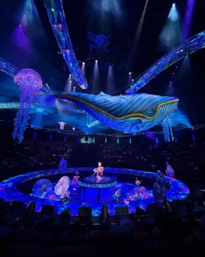 Jeremy Hudson Instagram - These last few Summer Carnival stops have been some of my favs… magical… and so much LOVE !!

Not to mention my mama finally was able to see the show, last slide really sums it up 🥲🩵
#summercarnivaltour