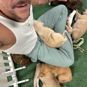 Jeremy Hudson Instagram - My heart has officially melted into a pile of goo loving on these lil babes today…

If I didn’t tour for a living I’d take them all but hey, maybe you can help?

These sweet pups are all up for adoption and needing good homes… if you know anyone that may be interested or want to inquire more

@tappuppyparties <— located in San Diego 😍😍😍
