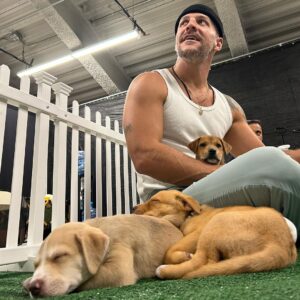 Jeremy Hudson Instagram - My heart has officially melted into a pile of goo loving on these lil babes today…

If I didn’t tour for a living I’d take them all but hey, maybe you can help?

These sweet pups are all up for adoption and needing good homes… if you know anyone that may be interested or want to inquire more

@tappuppyparties <— located in San Diego 😍😍😍