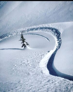Jeremy Jones Instagram - #trackedtuesday What’s your favorite turn, toe or heel?