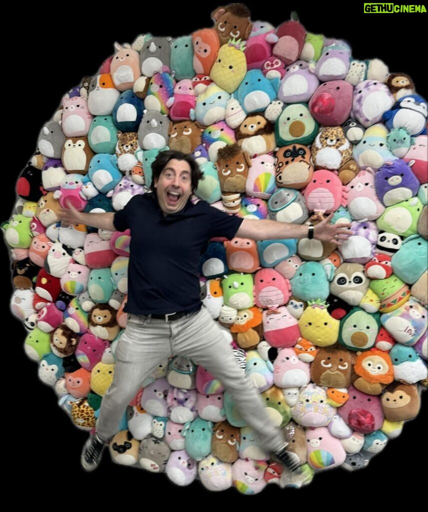 Jeremy Padawer Instagram - Squishmallows trust fall! #squishmallows @squishmallows @jazwares