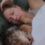 Jes Macallan Instagram - An appreciation post for my middle fur child on #internationaldogday because the older and younger pup get a LOT of attention already. She sneaks under the covers every morning the second I open my eyes, and she is secretly happiest when it’s just me and her. I love you sweet Lady, you sensitive little bearded stink bug. Your birthday song was the start of the most beautiful, perfect day. ❤️