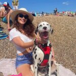 Jess Impiazzi Instagram - Saying goodbye to you was the hardest! The most beautiful boy in the world. 😢 @alexvirley and @mrelk91 took in Bruce after I got divorced and they gave him the most amazing life and I got to see him and have him stay at mine all the time! He got poorly recently and lost the ability to walk and other complications and Bruce had to be put to sleep. We were there with him holding his paws 🐾 Alex and Tom, you guys are the best and Bruce was one lucky guy getting to live with you! We will all miss him dearly! Rest well Bruce you hugged me through so much 🐾❤️
