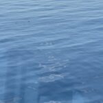 Jess Impiazzi Instagram - Today was a day at sea 🌊 aboard the @virginvoyages and I was super lucky and got to visit the captains bridge - I learnt all about the workings of the ship anddddd saw dolphins (swipe to the end) 🐬🌊🤩🥰 Virgin Voyages