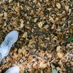 Jess Impiazzi Instagram - Saturday strolls 🍂 🍁 🍃 🎃 🍁🍃 soul stroll 🍂🍁 natures tonic 🍂🍃🍁 Devil's Punch Bowl