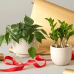 Jessica Alba Instagram - #SmallBusinessSaturday x gift guide edition 🎁 Featuring a handful of dope last minute gifting ideas - whether you’re finishing up your holiday shopping or need a secret santa gift, this roundup has a lil something for everyone 💫 @grlcollective @earthycorazon @drinkghia @gabbybernstein @karmaandluck @bandolierstyle @stonehollowfarmstead @littlewordsproject @thesill @mybearaby As always, check them out and comment some of your faves below! ❤️