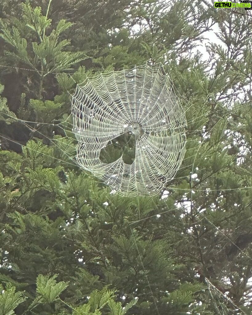 Jessica Alba Instagram - 🕸️🕷️🫶🏽