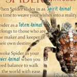 Jessica Alba Instagram - 🕸️🕷️🫶🏽