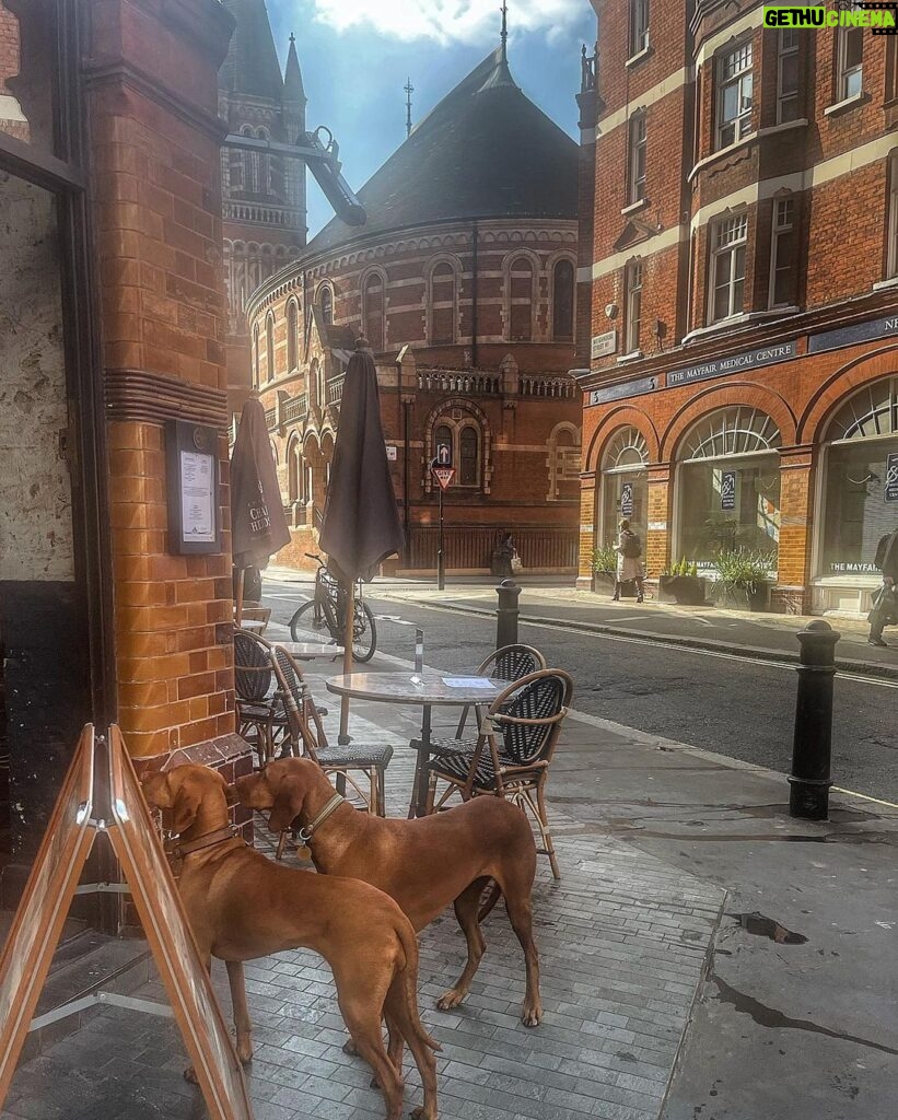 Jessica Allain Instagram - 4days in LDN🏃🏾‍♀ London, United Kingdom
