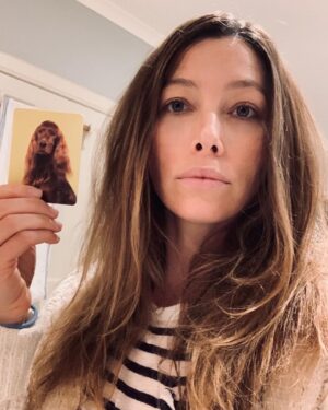 Jessica Biel Instagram - I don’t know what day it is anymore, but we just found our dog doppelgängers... and some pretty great hair inspo. Big day for us.