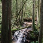 Jessica Lord Instagram - home 🤍 Sunshine Coast BC Canada