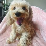 Jessica Lord Instagram - nothing but smiles x