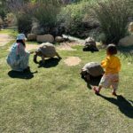 Jessica Lu Instagram - Hi mom. I was looking at these tortoise photos of our Ojai weekend and it made me realize that we humans will never be as old as them, and also at some point in my life, I may surpass your age. ❤️47