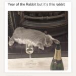 Jessica Lu Instagram - Year of the Rabbit was supposed to be more chill, right?... I think I have a different definition of chill. 😂🫶❤️‍🔥