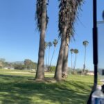 Jessie T. Usher Instagram - been golfing a lot lately ⛳️ link meeee!!! [[slide 3 is nice… but slide 4 thooo 🔥🙌🏾😂]] The Links
