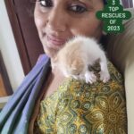 Jhansi Instagram - Top 3 rescues of 2023 Marble.. Indie puppy Chatty.. Indie kitten Buddy2.0.. golden retriever (yet to be adopted) Have found a second chance to live in 2023 Thanks to all my girls. Dhanya, Nikhita, Praveka, Vennela, @morjariaphotography @sukanyasurapaneni and @supriya312 for the relentless support Of course, you two boys, Vaibhav and Sampath, have contributed so much for the voiceless. #liveletlive