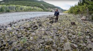 Jim Baird Instagram - On day two of our family canoe trip down the Stikine River through Northern BC and into Alaska, things got crazy when a raging windstorm blew up in the night and we had to secure our tent down. When I climbed out of the tent the next morning, our canoe was gone. Watch the full video from this part of the adventure through the link in my bio. 

#outdoors #jbadventurer #canoeing #alaska #stikineriver #survival #camping #familycamping