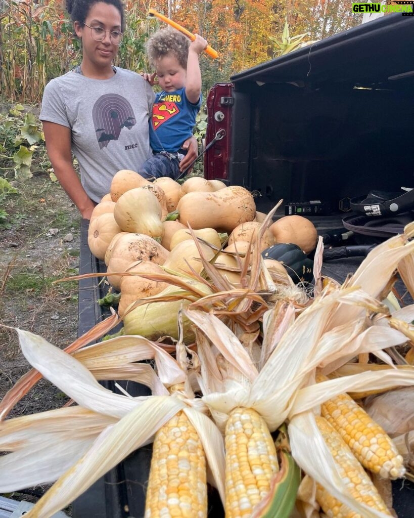 Jim Baird Instagram - As much as I like travelling on adventures, it’s great to get home after a long one. Yesterday we harvested our winter squash, along with our remaining pole beans, and we put some corn up to dry. It was a near perfect day and we took advantage of the unseasonably warm weather. We have a lot of squash to eat and will spend some time blanching and freezing what we can’t eat in the short term. #jbadventurer #homesweethome #harvest #wintersquash #indiancorn #fall #homested #vegitsblegarden Magnetawan, Ontario