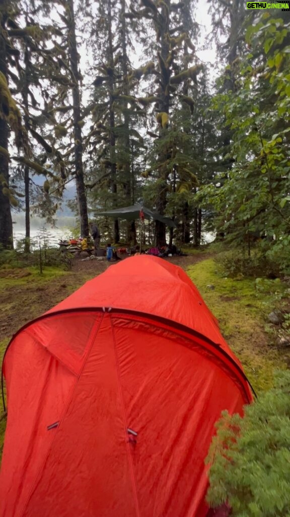 Jim Baird Instagram - Here is a full view of our campsite at Great Glacier Provincial Park along the Stikine River. We camped out here for 2 nights so we could take a day to portage into Outwash Lake and check out Great Glacier and paddle amongst the ice bergs. #rainforest #bcprovincialpark #greatglacier #stikineriver #campsiteviews #campsite #backcountrycamping #backcountry #intothewild #campingwithkids #backcountrycampingwithkids #kidsinthebackcountry #wildcamping #canoetrip #canoetripping #canoetrippingwithkids #diversifyoutdoors