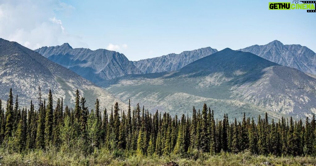 Jim Baird Instagram - New video up! (Link in bio.). This is Ep. 6 of my Hart of the Yukon series and in this one I travel through the most beautiful scenery of the trip yet. I also break out my fly road and try my had at catching Arctic Grayling on the fly. Enjoy! @travelyukon @novacraftcanoe @upnorthadventures #jbadventurer #largerthanlife #novacraftcanoe #outdoors #camping #canoeing #yukon The Yukon