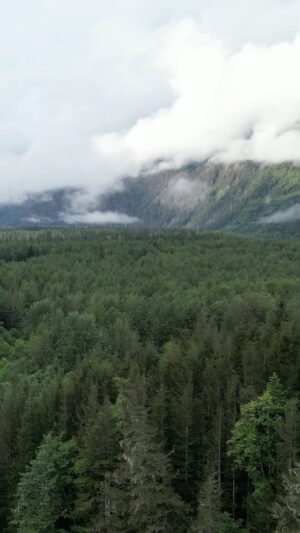 Jim Baird Instagram - Watch the full video through the link in my bio. This is Ep 5 of my current series “Into Alaska”. In this one, we camp a a mountain lake near the Alaska border in BC highway 37A before driving back to Cassiar Highway to the Telegraph Creek road. Soon we’ll begin our canoe trip down the Stikine River which we’ll follow into Alaska and continue to the Pacific. 

#overlanding #familyadventures #outdoors #britishcolumbia #camping #moubtains