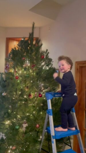 Jim Baird Instagram - We went with a white pine this year which is a first for both of us. We’ll see how it holds up throughout the holidays but so far we love it!! 🥰🎄 

#Christmastree #treefarm #christmastreedecorating