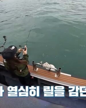 Jo Yoo-jin Instagram - :)

요즘 바다낚시에 
푹 빠져 있는거 아는 분들은 아시쥬 🎣 

방대한 사진들을 어떻게 올릴까 고민하다
밀리고만 있어서 모음집 올려봅니다 😉 

#다이와코리아 #낚도녀 유튜브 매주 목요일 6시 업로드 ! 

다들 보고 캡쳐만 보내지 말구 
댓글로 많은 관심 보여줘여 ❛˓◞˂̵✧ ♥️ 

요즘 가족보다 더 자주 만나는 
#다이와 #스튜디오플렉토 #낚도녀 
고맙고 스릉흡니데이 ♥️