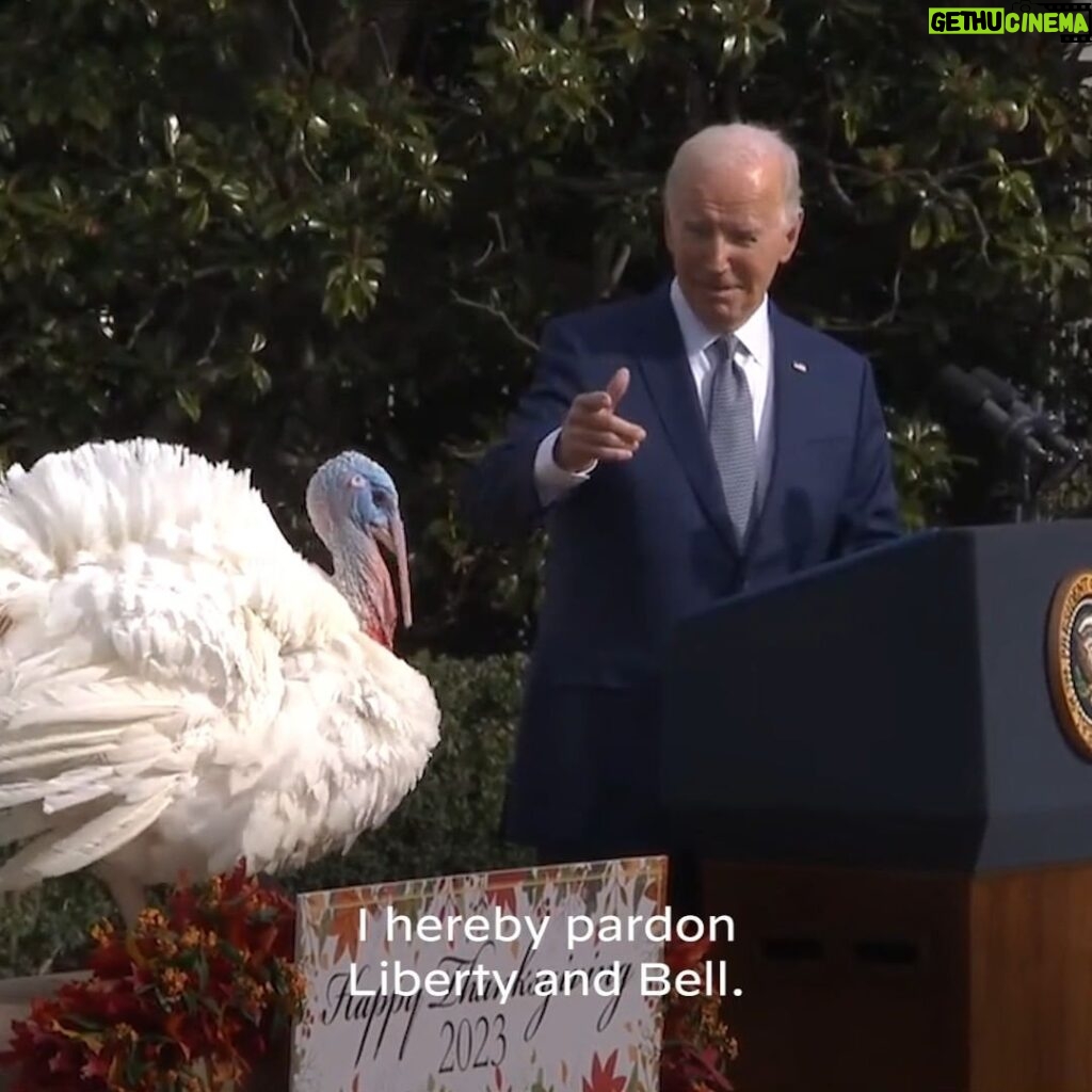 Joe Biden Instagram - It was my honor to pardon this year's Thanksgiving turkeys: Liberty and Bell.
