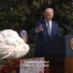 Joe Biden Instagram – It was my honor to pardon this year’s Thanksgiving turkeys: Liberty and Bell.
