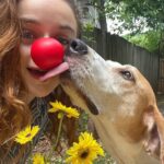 Joey King Instagram - I’m joining @rednosedayusa and their mission to end child poverty. Any size donation will help build healthy futures for all children. Grab your red nose and donate at RedNoseDay.org #RedNoseDay #NosesOn
