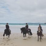 John Bell Instagram - 🐎 If I had a pony... I’d ride him on my boat. Just me, upon my pony, upon my boat. 🚤