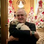 John Cleese Instagram - Heracles ( Or Hercules ) is my daughter @camillacleese’s dog. He is the very best. Not a mongrel - a cocktail One part Chihuahua, one part barge rat, one part piglet and one part mosquito. He can only turn to the left. #dogsarethebest #dogsarethebestpeople #bestdogintheworld #tinydog