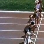 John Cleese Instagram - In honor of the World Cup, other Important Athletics! #montypython #worldcup2022 #worldcupqatar2022 #sillysports #funnysports