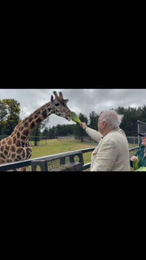John Cleese Instagram - Such a magnificent creature! I met her in Canberra at the Jamala Wildlife Lodge. @jamalalodge 

#canberrazoo #australiazoo #giraffes