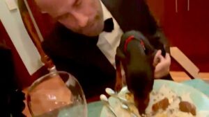 John Travolta Instagram - Happy New Year to you! From us and from Jinx. 🎉