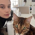 John Travolta Instagram - Once in a while you have to post something of beauty. (and the cats not bad either)