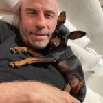 John Travolta Instagram - Some dogs are just so lovely. 🐾