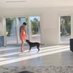 Johnny Eblen Instagram - My science experiment #comedy #laugh #jokes #reels #viral