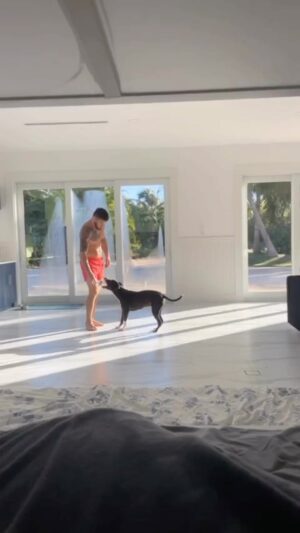 Johnny Eblen Instagram - My science experiment #comedy #laugh #jokes #reels #viral