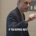 Jordan B. Peterson Instagram – The truth about young boys and ADHD.