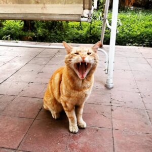 Jorge González Instagram - 