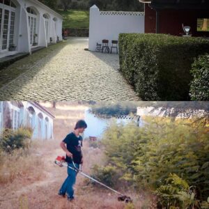 José Pedro Vasconcelos Instagram - 2008/2022 há 14 anos a roçar mato @imanicountryhouse