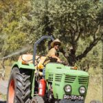 José Pedro Vasconcelos Instagram – Domingos assim, para desentorpecer. Espreitem a página deste cadinho de terra @imanicountryhouse Beijos do sul imani – country house