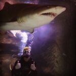 Josh Dun Instagram - my mom told @sharkdivextreme that if I got hurt swimming with sharks I couldn't come back to Australia again. they did a real nice job and I will come back. Shark Dive Xtreme